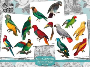 Cut Outs Of Colorful Parrots