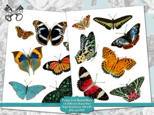colorful butterflies laid out on two pages